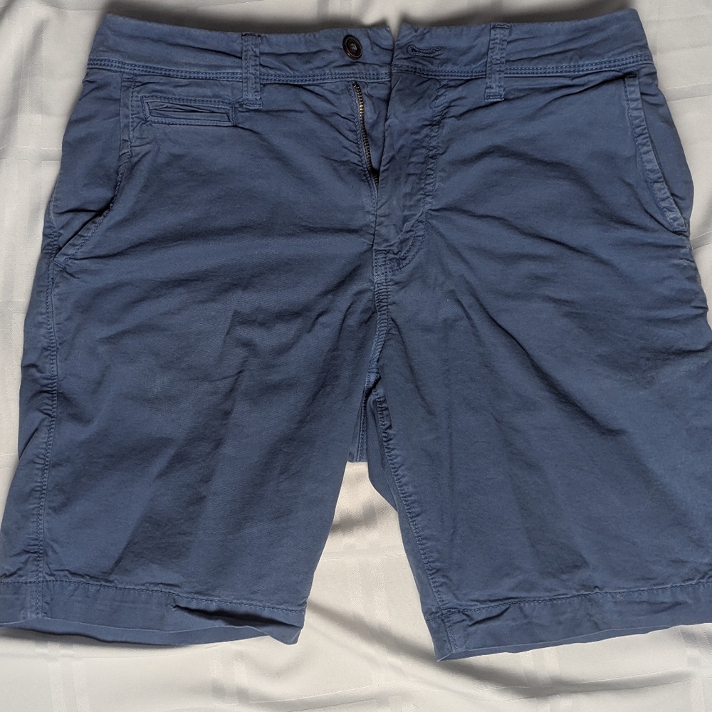 American Eagle Outfitters Blue Flat Front Shorts